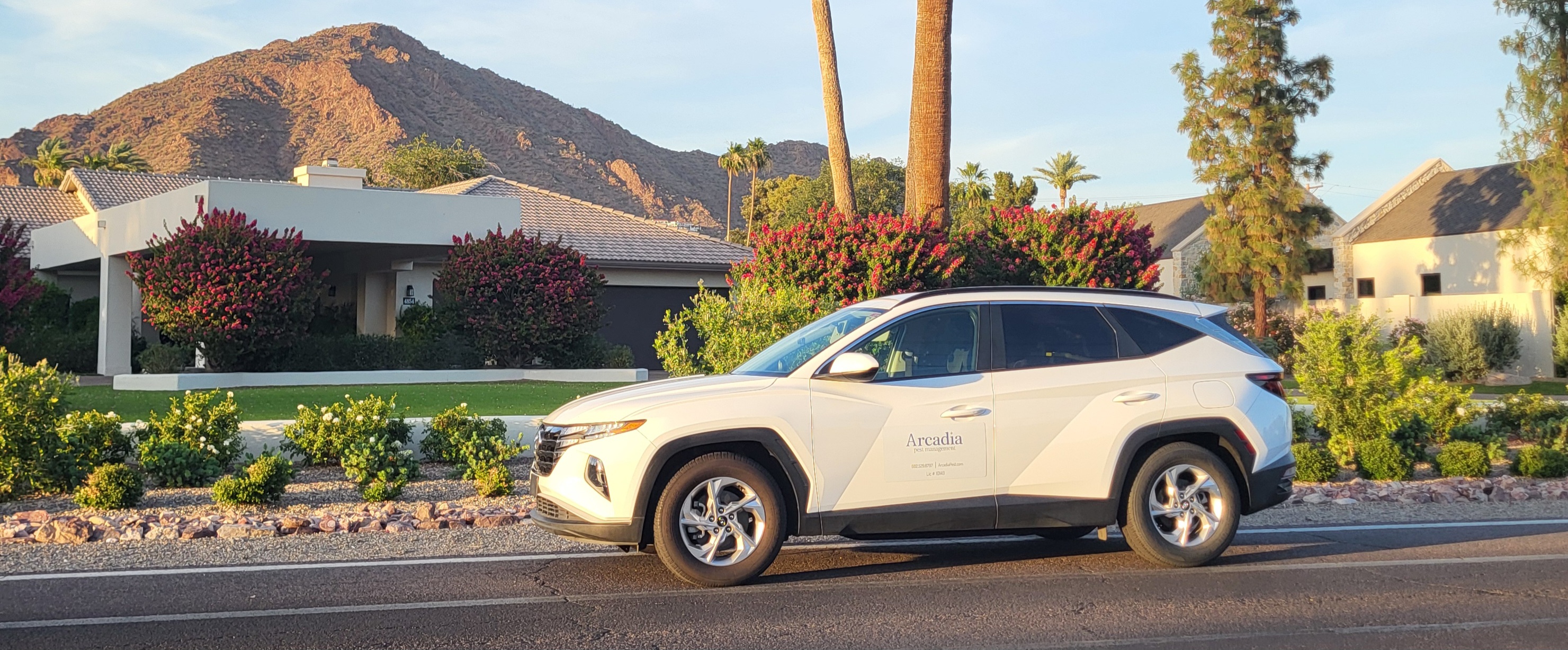 Arcadia Pest Management service vehicle in the Arcadia neighborhood of Phoenix AZ with Camelback Mountain in background